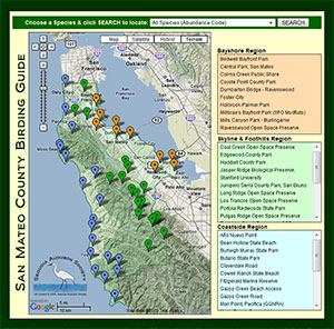 San Mateo County Birding Guide